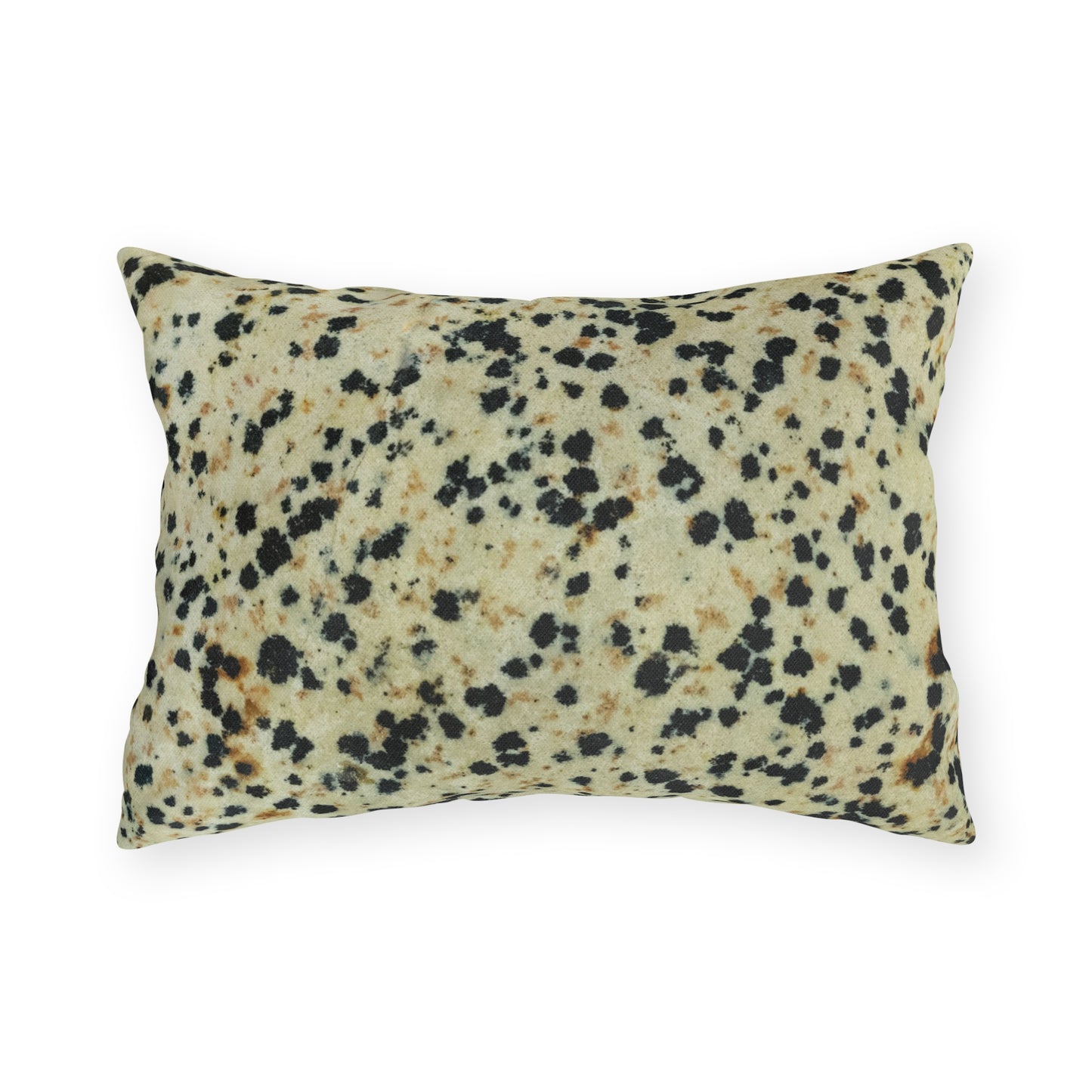 Dalmatian Jasper Transformations Outdoor Pillows