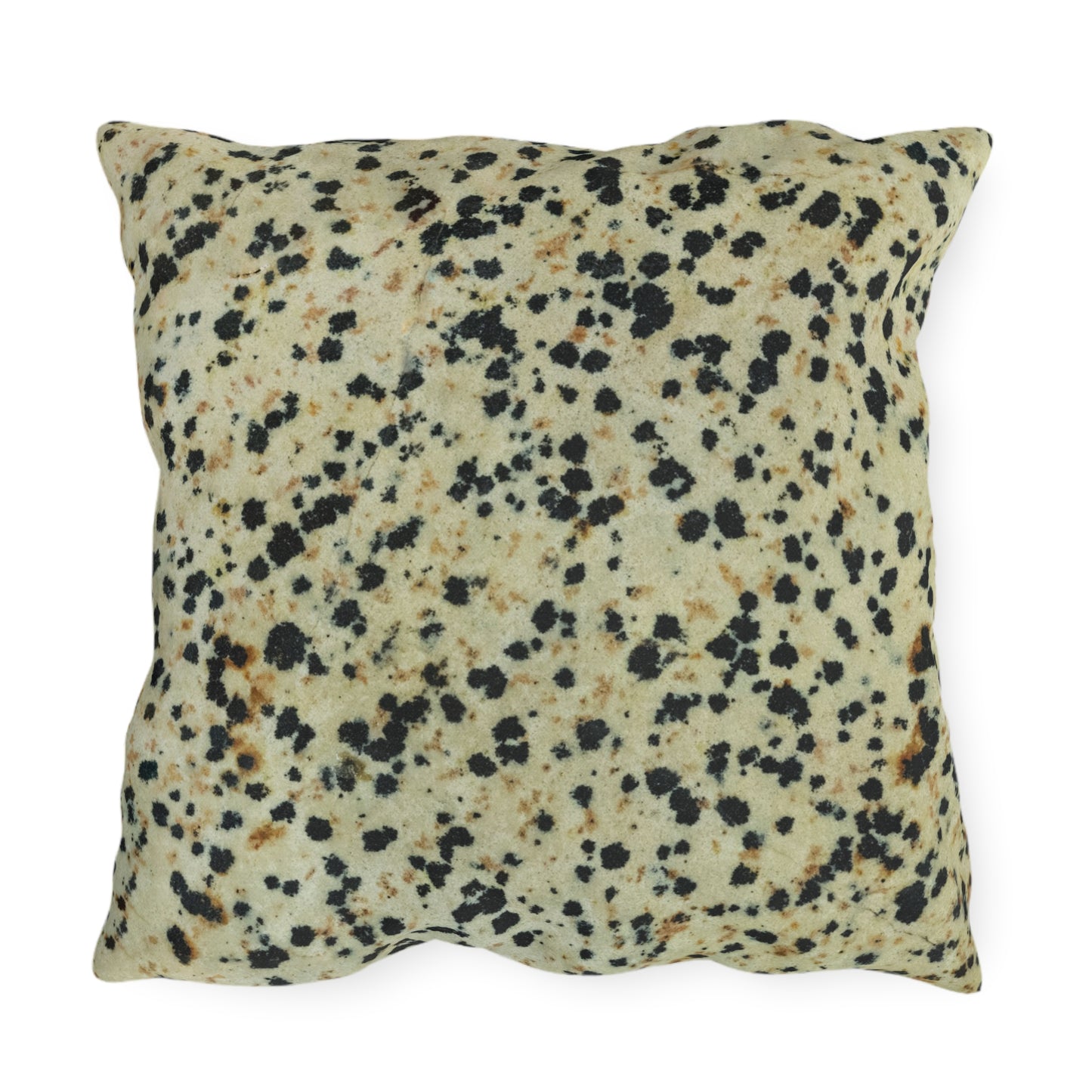 Dalmatian Jasper Transformations Outdoor Pillows
