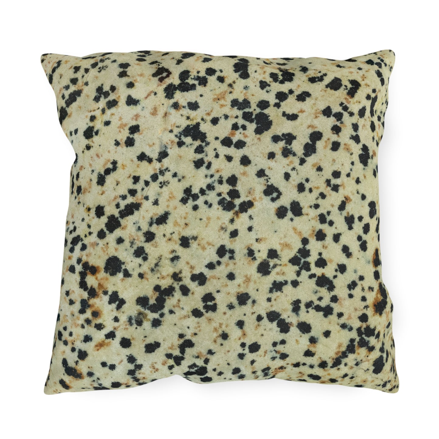 Dalmatian Jasper Transformations Outdoor Pillows