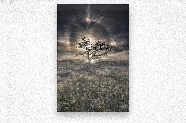 Brushed Metal Print